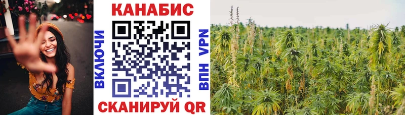 Названия наркотиков Сухой Лог APVP  ГАШИШ  COCAIN 