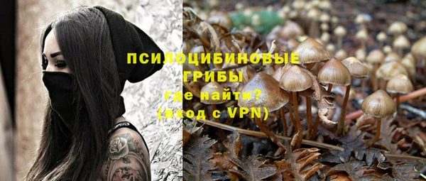 трава Баксан