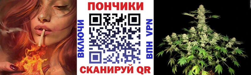 Бошки Шишки планчик  Сухой Лог 